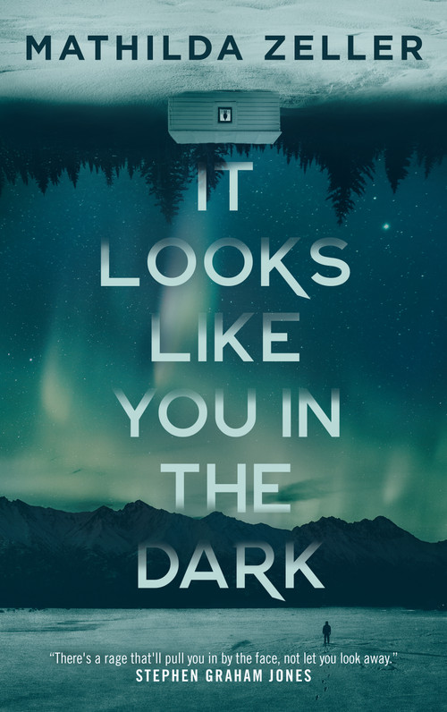 It Looks Like You in the Dark by Mathilda Zeller, 9781250402035
