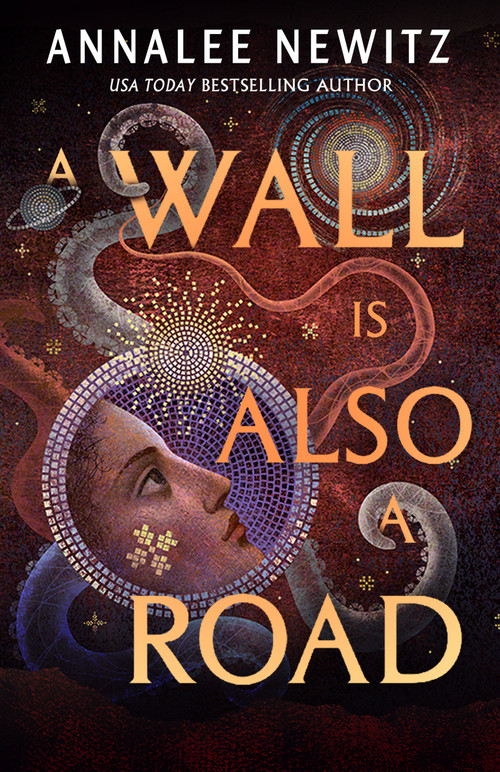 A Wall Is Also a Road by Annalee Newitz, 9781250228031