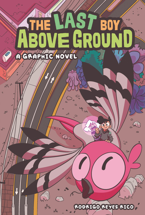 The Last Boy Above Ground (A Graphic Novel) by Rodrigo Reyes Rico, Rodrigo Reyes Rico, 9781728493022