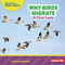 Why Birds Migrate (A First Look) by Candice Ransom, 9798348039578