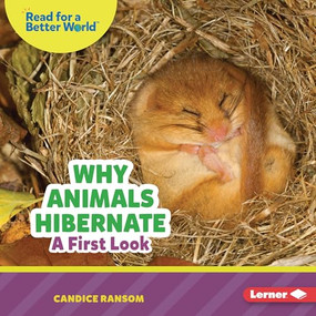 Why Animals Hibernate (A First Look) by Candice Ransom, 9798348039608