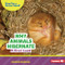 Why Animals Hibernate (A First Look) by Candice Ransom, 9798348039608