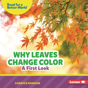 Why Leaves Change Color (A First Look) by Candice Ransom, 9798348039615