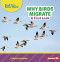 Why Birds Migrate (A First Look) - 9798348043285 by Candice Ransom, 9798348043285