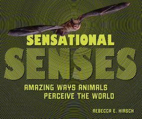 Sensational Senses (Amazing Ways Animals Perceive the World) - 9798348051471 by Rebecca E. Hirsch