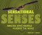Sensational Senses (Amazing Ways Animals Perceive the World) - 9798348051471 by Rebecca E. Hirsch, 9798348051471