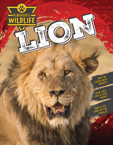 Lion - 9781761402500 by John Lesley