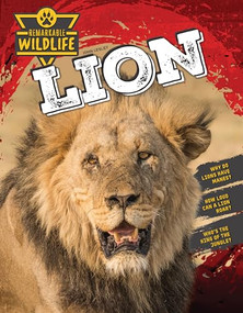 Lion - 9781761402609 by John Lesley, 9781761402609
