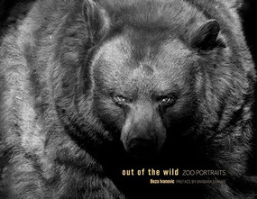 Out of the Wild: Zoo Portraits by Boza Ivanovic, 9780988174528