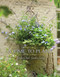 A Time to Plant (Southern-Style Garden Living) by James T. Farmer, 9781423623465