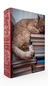 Cat Nap Book Box Puzzle 1000 Piece, Clamshell by Gibbs Smith Gift, 9781423650676