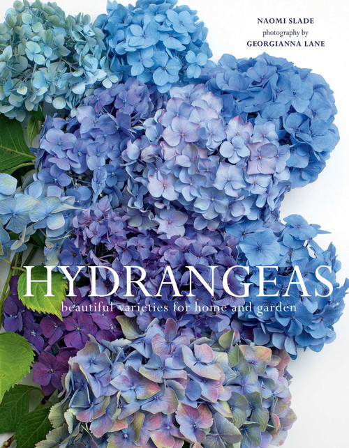 Hydrangeas (Beautiful Varieties for Home and Garden) by Naomi Slade, Georgianna Lane, 9781423654025