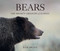 Bears (The Mighty Grizzlies of the West) by Julie Argyle, 9781423658795