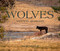 Wolves (Western Warriors) by Julie Argyle, 9781423660361