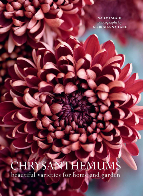 Chrysanthemums (Beautiful Varieties for Home and Garden) by Naomi Slade, Georgianna Lane, 9781423665618