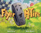 Flyer McTire by Beth Ferry, Matt Myers, 9780063352100