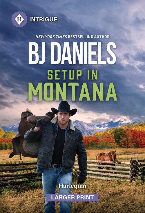 Setup in Montana - 9781335231130 by B.J. Daniels