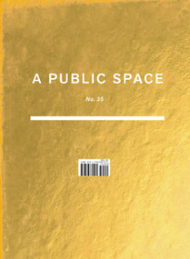 A Public Space No. 35 by Brigid Hughes, Brigid Hughes, 9781736370995