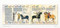 The Bayeux Tapestry Embroiderers' Story by Jan Messent, 9781800924338