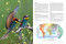 National Geographic Birder's Atlas of the World by National Geographic, 9781426223778