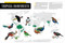National Geographic Birder's Atlas of the World by National Geographic, 9781426223778