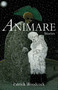 Animare (Stories) by Patrick Woodcock, 9781990160691