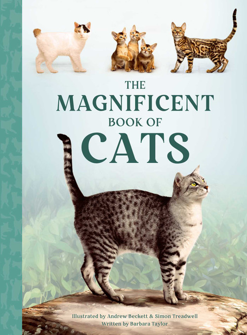 The Magnificent Book of Cats by Barbara Taylor, Andrew Beckett, Simon Treadwell, Simone Treadwell, 9798886744606
