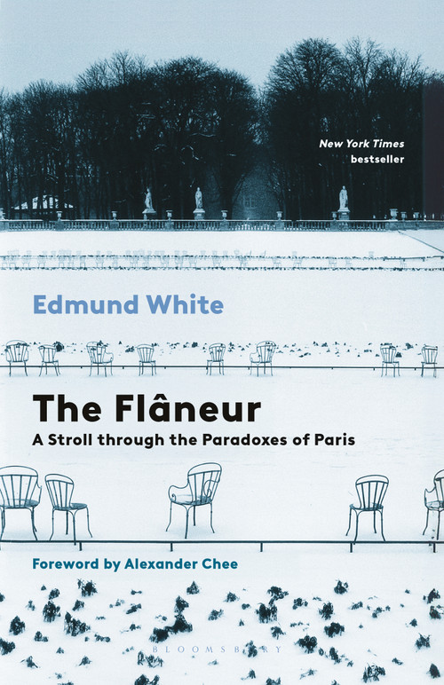 The Flaneur (A Stroll through the Paradoxes of Paris) - 9798260200162 by Edmund White, Alexander Chee, 9798260200162