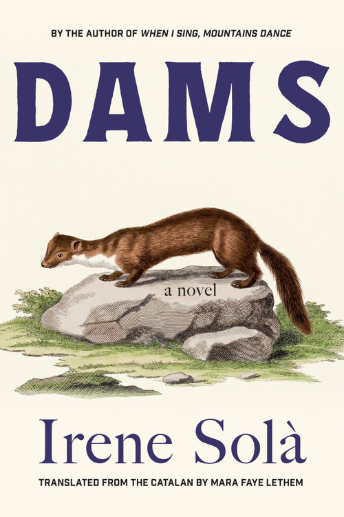 Dams (A Novel) by Irene Solà, 9781644454237