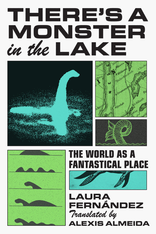 There's a Monster in the Lake (The World as a Fantastical Place) by Laura Fernández, 9781644454190