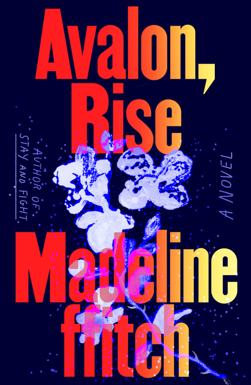 Avalon, Rise (A Novel) by Madeline ffitch, 9780374617769