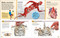 Make Your Own Skeleton by DK, 9798217138647