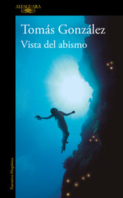 Vista del abismo / View from the Abyss (Spanish Edition) by Tomás González, 9788410299443