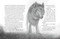Deerheart by Eoin Colfer, P.J. Lynch, 9781536242881