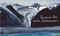 Arctic Sketchbooks (Barbara Rae) by Barbara Rae, 9781912520114