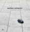Antony Gormley - 9781912520305 by Antony Gormley, 9781912520305