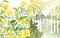 Reverse Coloring: Gardens (Add your own lines and doodles to create unique artworks) by Sarah Van Der Linden, 9781800924499