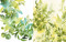 Reverse Coloring: Gardens (Add your own lines and doodles to create unique artworks) by Sarah Van Der Linden, 9781800924499