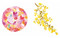 Reverse Coloring: Gardens (Add your own lines and doodles to create unique artworks) by Sarah Van Der Linden, 9781800924499