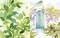 Reverse Coloring: Gardens (Add your own lines and doodles to create unique artworks) by Sarah Van Der Linden, 9781800924499