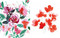 Reverse Coloring: Flowers (Add your own lines and doodles to create unique artworks) by Elise Demozay, 9781800924482