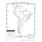 The World Reference & Map Forms by Evan-Moor Educational Publishers, 9781557999542