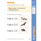 Skill Sharpeners: Grammar And Punctuation, Grade Prek by Evan-Moor Educational Publishers, 9781629388670