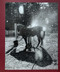 Calling the Birds Home by Cheryle St. Onge, 9791280978257