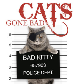 Cats Gone Bad by Kat Scratching, 9781782743200