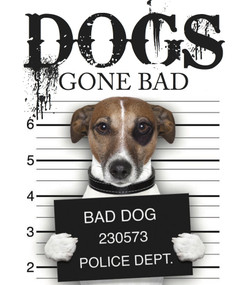 Dogs Gone Bad by Jack Russell, 9781782743217