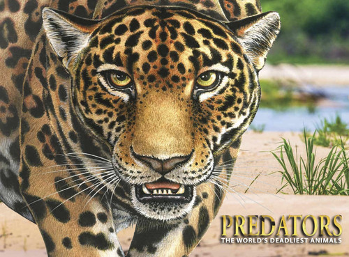 Predators (The World's Deadliest Animals) by Paula Hammond, 9781782749738