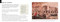 World's Worst Historical Disasters (Natural and Man-made Catastrophes from the Ancient World to the Present Day) by Chris McNab, 9781782749820