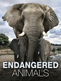 Endangered Animals by Tom Jackson, 9781838861612