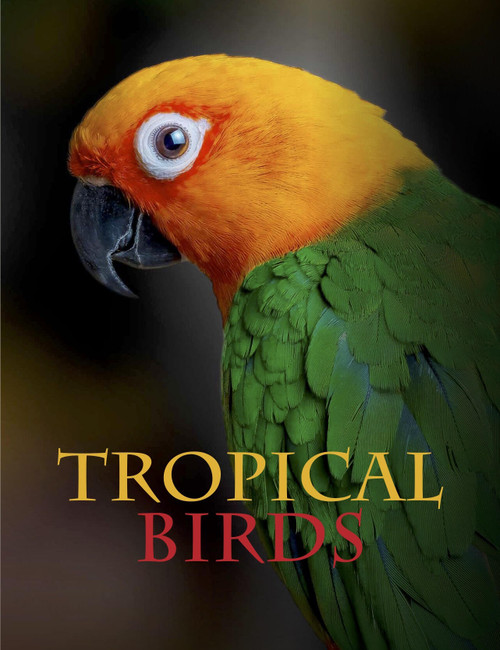 Tropical Birds by Tom Jackson, 9781838861964